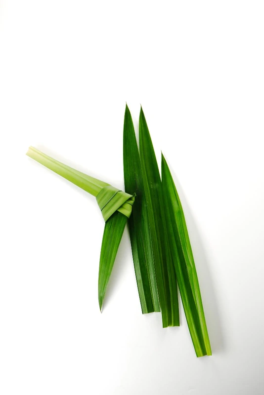 Pandan Leaf