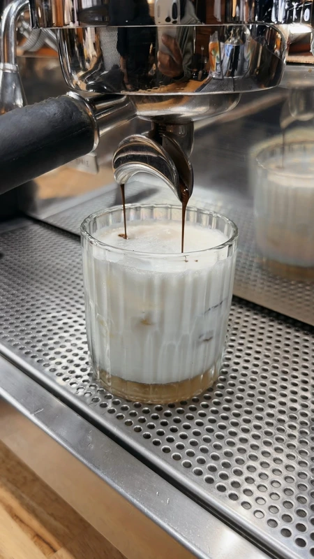 Elite Creme Regular